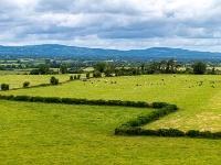 Rock of Cashel